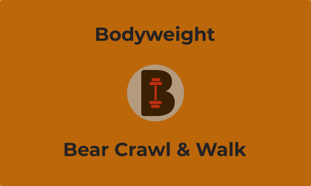 Bear Crawl and Walk